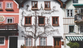 Holzfenster